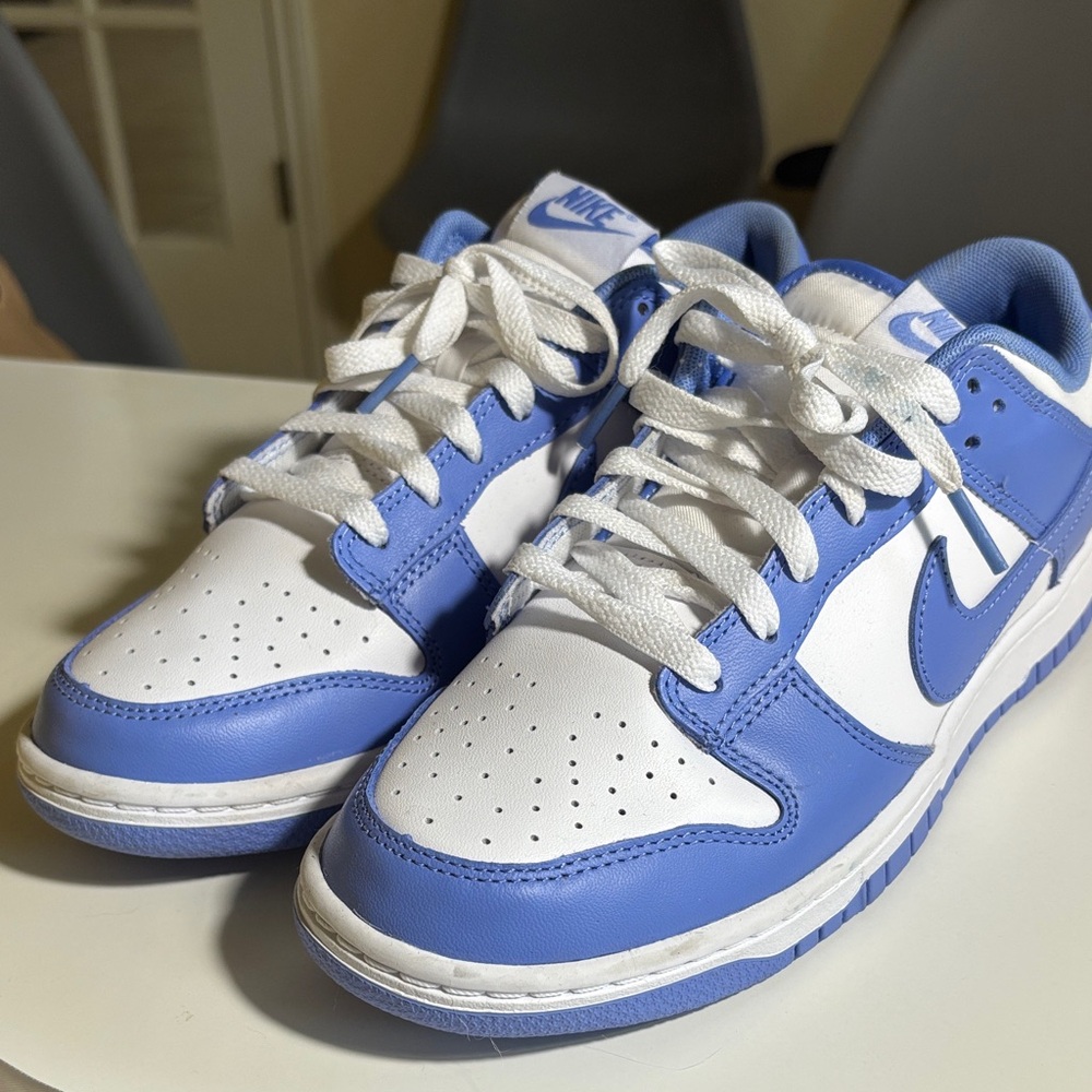 Nike Dunks Low Top White and Blue Athletic Shoes